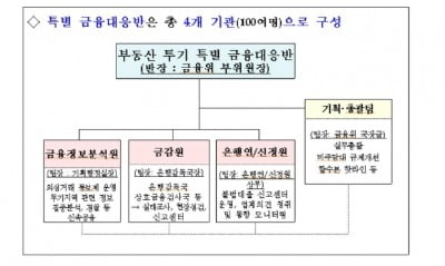 "부동산 투기 관용없다" 금융대응반 가동…불법 대출 신속 검사