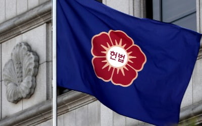 성추행범에 저항했는데 '상해 혐의' 기소유예…헌재 판단은?