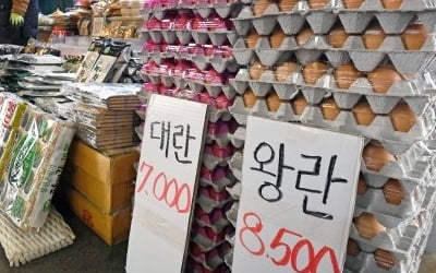 조류독감 끝났다는데…계란 값은 도대체 언제 떨어지나요? [강진규의 농식품+]