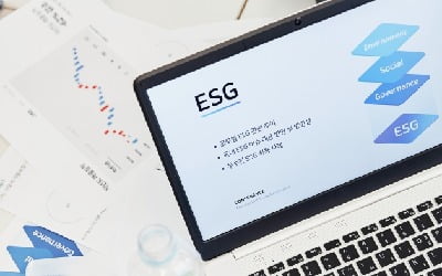 가속화하는 'ESG 열풍'에…민간 석탄발전사의 신용도 향방은