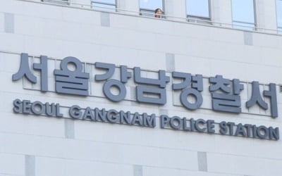 강남경찰서 간부들 '직장 내 갑질' 의혹으로 대기발령·전출