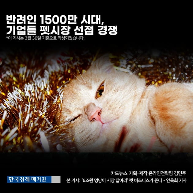 [영상 뉴스] 반려동물 양육 인구 1500만 시대, 기업들 펫시장 선점 경쟁