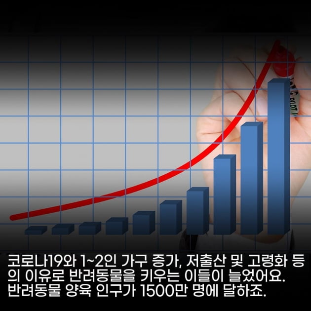 [영상 뉴스] 반려동물 양육 인구 1500만 시대, 기업들 펫시장 선점 경쟁