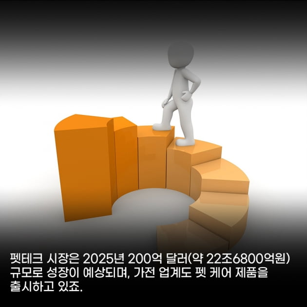 [영상 뉴스] 반려동물 양육 인구 1500만 시대, 기업들 펫시장 선점 경쟁