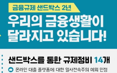 두 돌 맞은 금융규제 샌드박스…아쉬운 '절반의 성공'