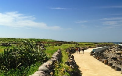 제주 올레 '세계 10대 해안 걷기여행 코스' 선정