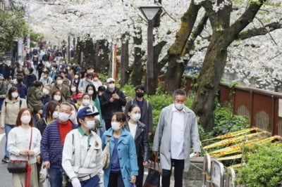 日 코로나 신규 확진 또 3000명대…누적 확진 50만명