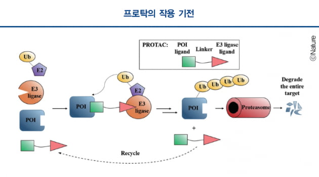 [Cover Story - Overview] 프로탁은 신약 개발의 새로운 패러다임을 가져올 수 있을까