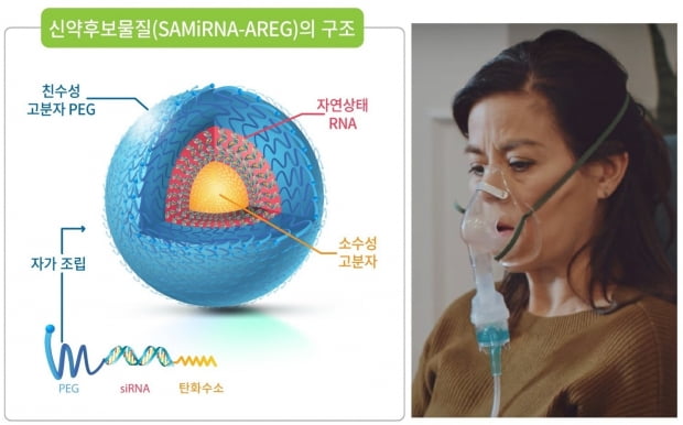 SAMiRNA-AREG 구조와 미국폐협회(ALA)의 네뷸라이저 사용법 동영상 캡처. 제공=바이오니아 