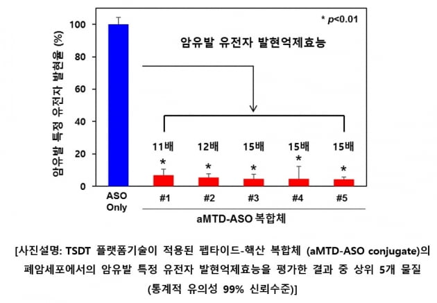 셀리버리, 다이이찌산쿄에 펩타이드·핵산복합체 효능 보고서 전달