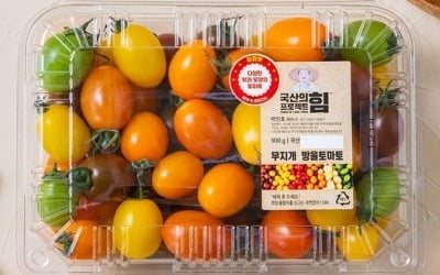토마토도 '세대 교체'…"방울·완숙보다 신품종이 더 팔리네"