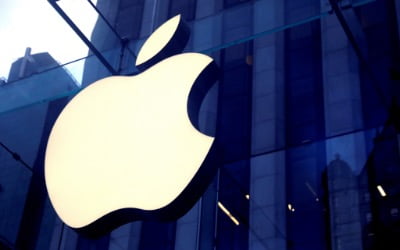 '호재 다가온다' 긍정 전망 이어지는 애플…추가 상승 여력은? 