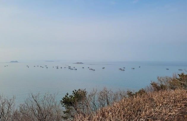 북방한계선 인근에 모여있는 불법조업 중국어선. 독자제공