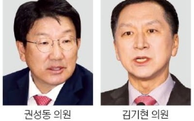 국민의힘 원내대표 '兩强구도'…초선이 판가름