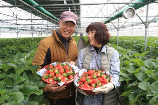 산청군청 제공