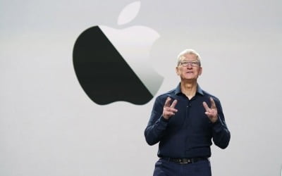 태블릿PC로 맞붙는다…애플 '고가 고수' vs 삼성 '보급형 공략'