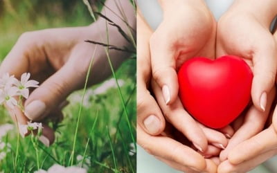 자회사 매각하고 투자 주식 팔아 재무구조 다잡는 상장사들