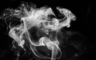 바이든 정부 니코틴 규제 소식에…엇갈린 美 담배주