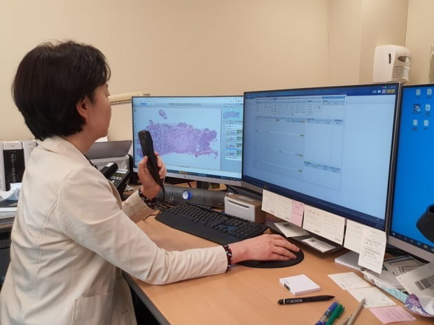 서울성모병원 병리과 교수가 병리 진단 관련 데이터를 음성으로 보이스 EMR에 입력시키고 있다.