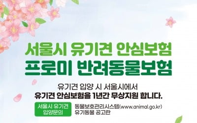 DB손해보험, 서울시 손잡고 유기견 입양 시 1년간 보험 지원