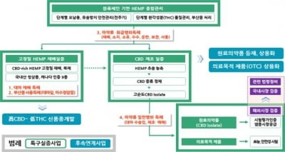 중기부·경북도, 국내 최초 '산업용 대마' 실증사업 착수