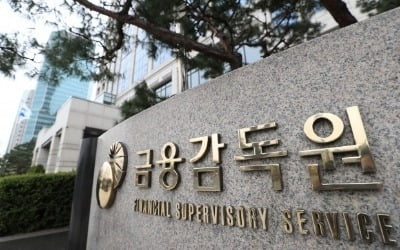 [단독] "금감원 징계 부당하다"…공동대응 나선 증권사 CEO들