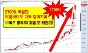 《주식발굴》 "당신에게 알려주는 맞춤형 급등주 정보"