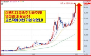 수천원대 황금종목! 조용히 사서 묻어놔라! 4月 정말 큰돈 된다!