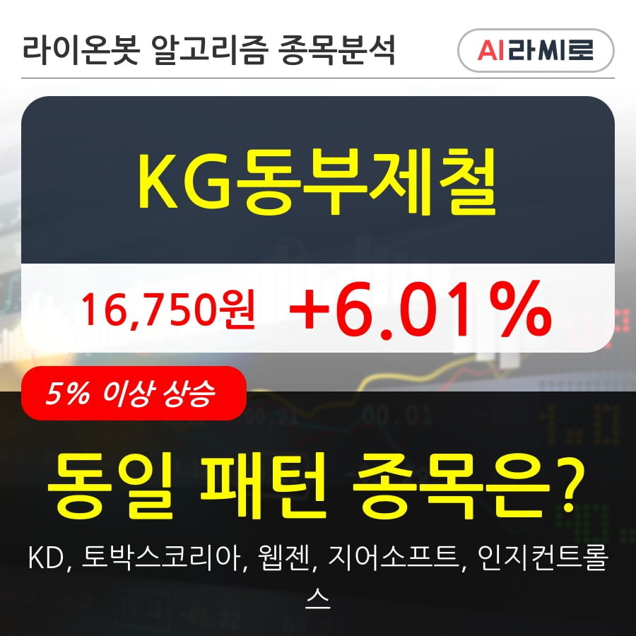 KG동부제철