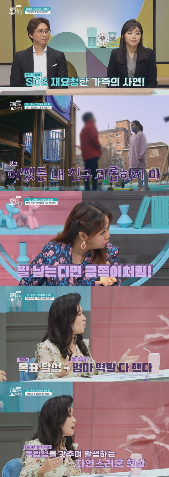 금쪽같은 내새끼 (사진=채널A)