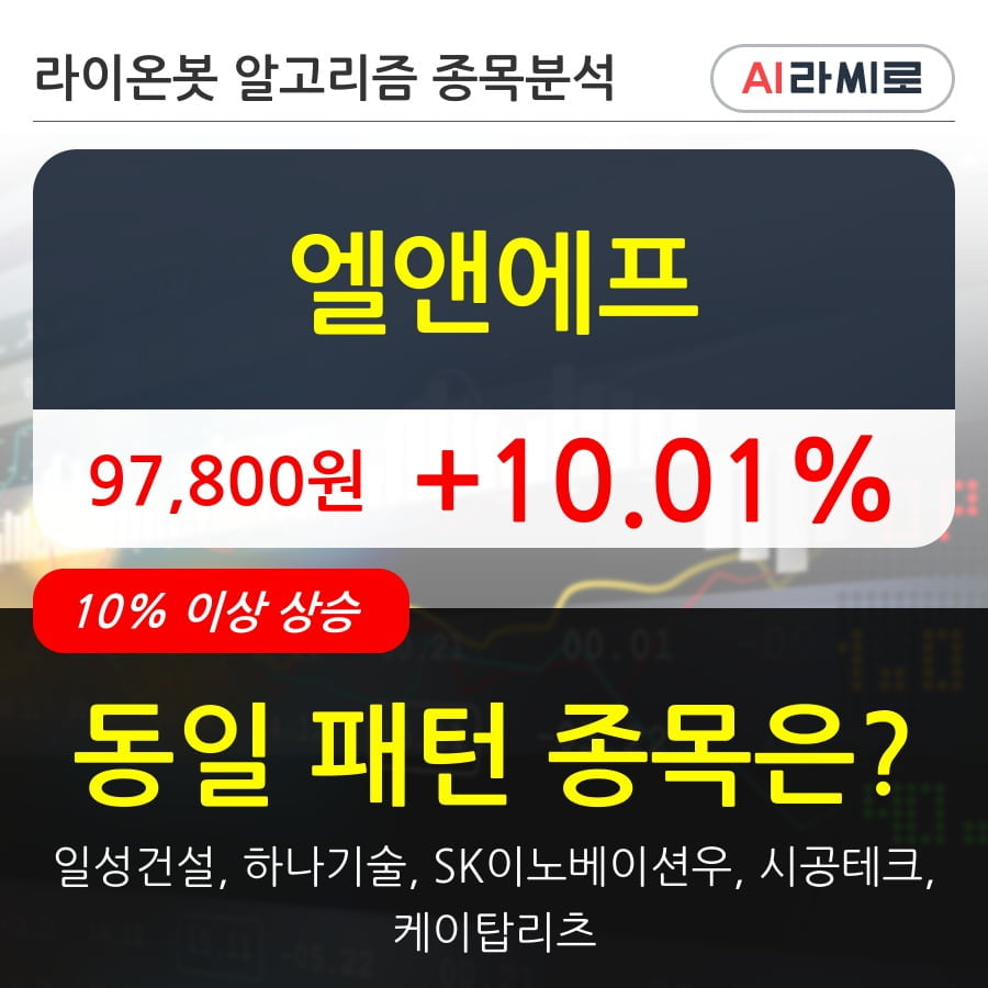 엘앤에프