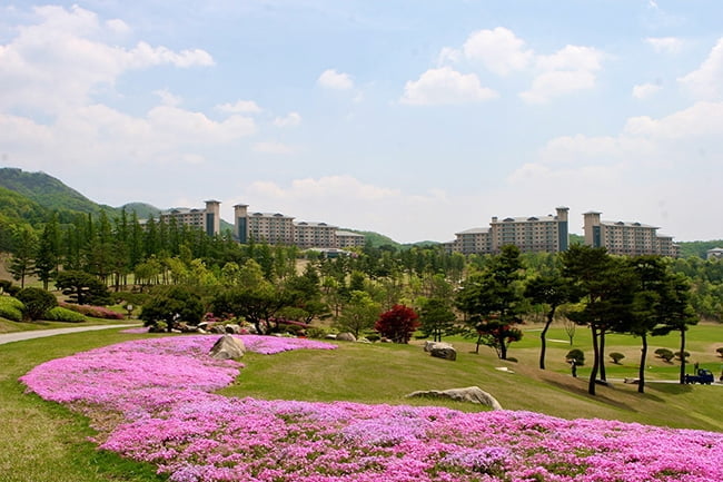 “두근두근 설레는 봄맞이 이색 체험” 오크밸리, `스프링 바운스` 봄 이벤트 진행