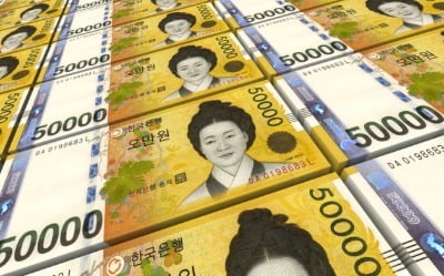 코로나 끝나도 한국만 나홀로 확장재정…KDI "재정 정상화 필요"
