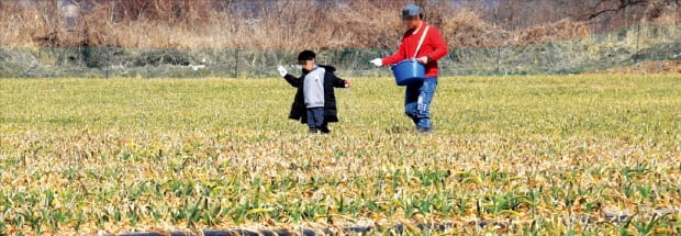 "제2 LH 막겠다고 겹겹 규제"…농지 거래 끊겨 지역경제도 '타격'