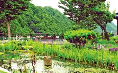 좁은 문, 좁은 길…낮춰야 보인다, 대청호가 품은 '천상의 정원'