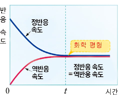 식물의 광합성도 물과 이산화탄소를 결합하는 화학반응