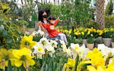 [포토] 서울식물원은 '봄꽃 세상'