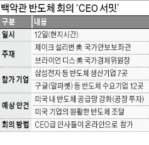 백악관 회의 불려가는 삼성전자…반도체 美생산 압박 거세지나