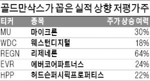 골드만삭스 "마이크론 주가 30% 더 뛴다"