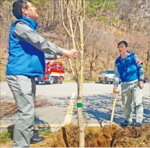 쌍용C&E 직원이 동해공장 인근 무릉계곡에서 식목일을 맞아 나무를 심고 있다.  쌍용C&E 제공 