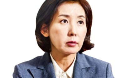 나경원 등판설…野 당권 '주호영 대세론' 흔들리나