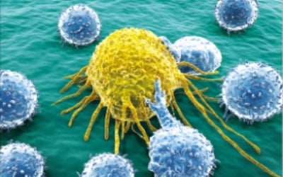 MIT 연구진, 암세포 전이 과정 최초 규명…스스로 물렁해져 혈관벽 뚫고 다른 장기 침투