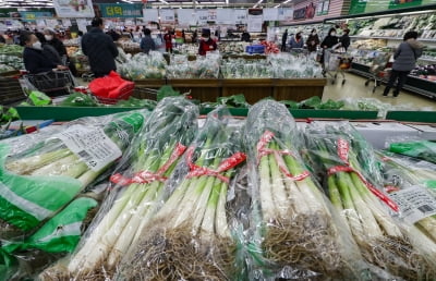 밀·옥수수 등 수입 곡물가 고공 행진 전망