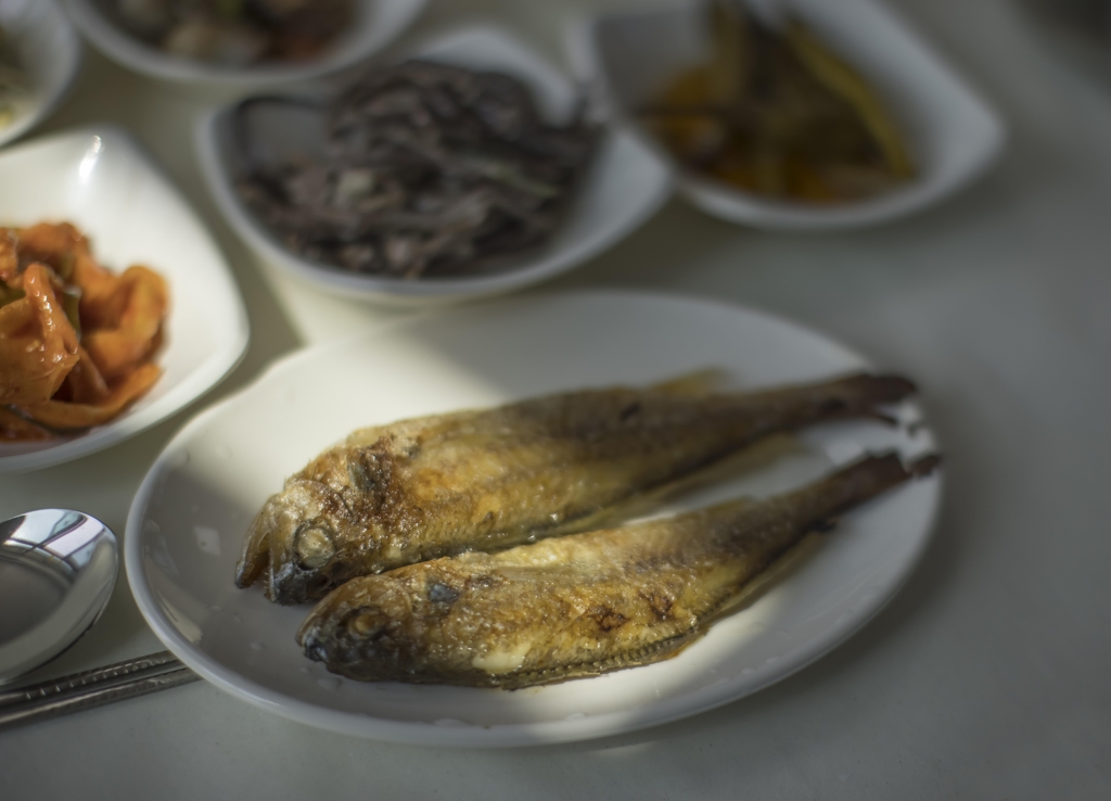 [酒먹방] 수해 딛고 일어선 구례 오일장 맛집 가야식당