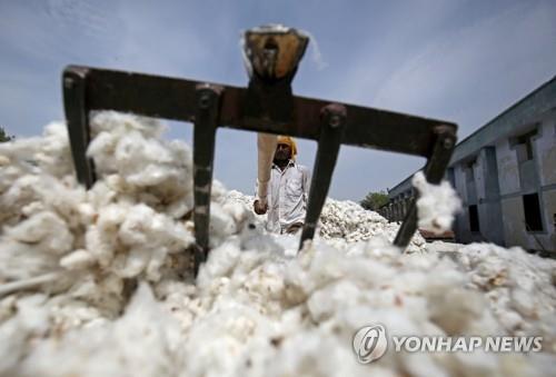 '앙숙' 인도-파키스탄 무역 2년 만에 재개…설탕·면화부터