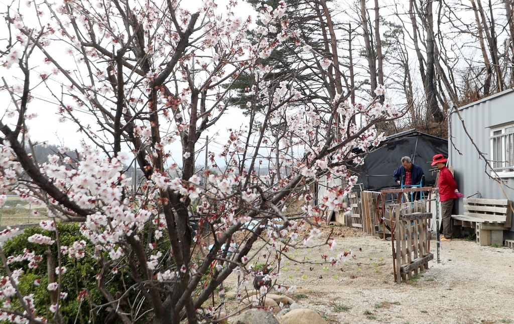 [르포] '강원산불 2년' 아물지 않은 상처·다시 돋는 희망