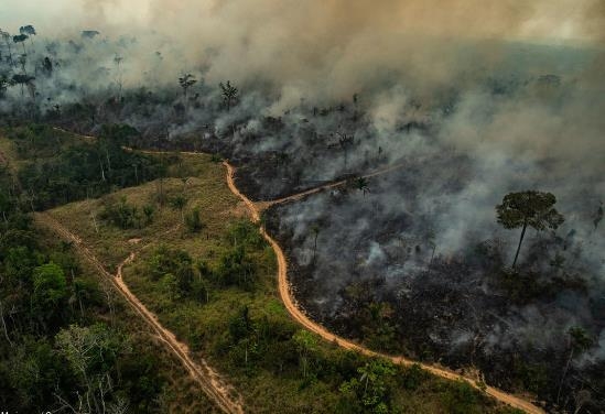 브라질, 기후정상회의서 아마존 보호 내걸어 금융지원 요청할듯