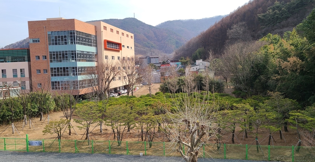 대구교육청 나무은행 운영…베어질 수목 활용