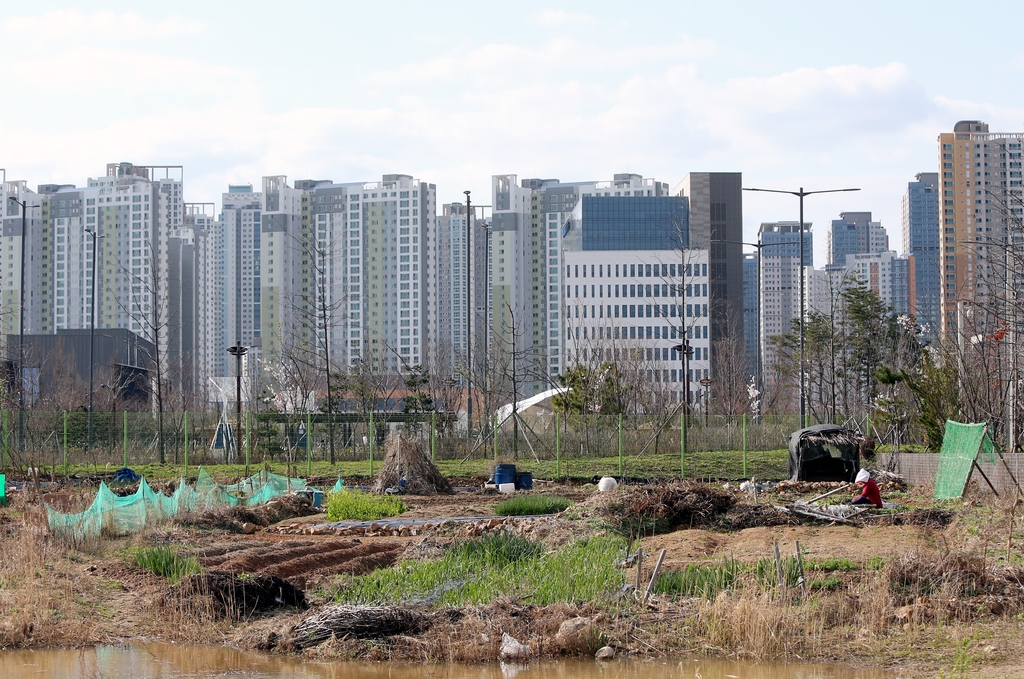 송도국제도시 수년째 불법 경작에도 지자체 '나 몰라라'