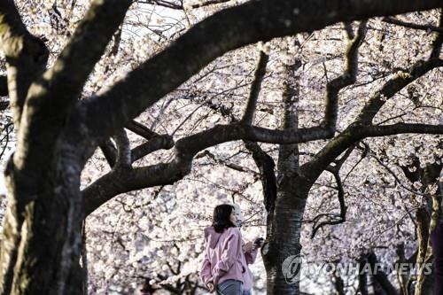 미국인 55% "지난주 가족·친구 만났다"…팬데믹 후 최고치